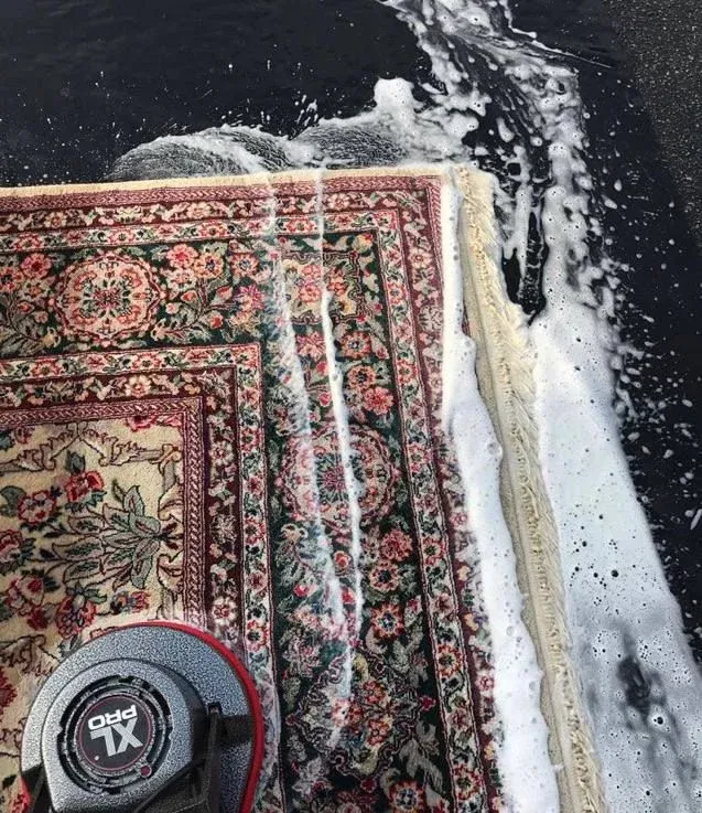 Professional deep cleaning for carpets and rugs in Bahrain